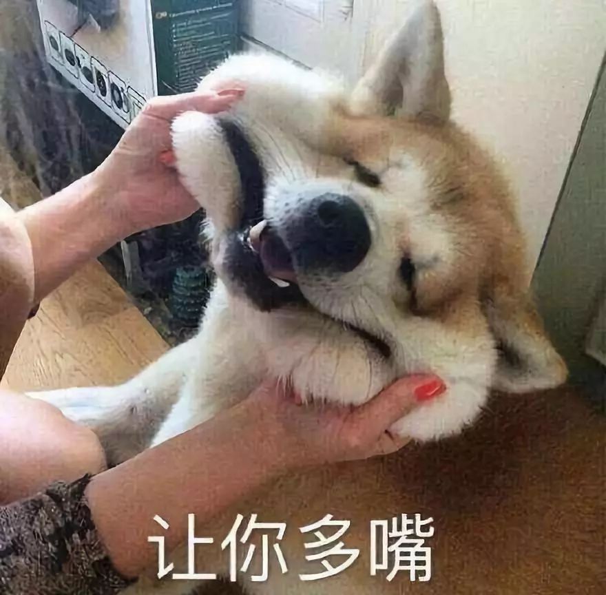 狗对主人这么好，是因为它们本身具有奴性！