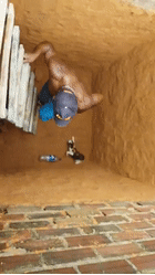 6.gif