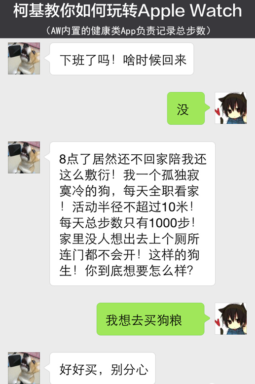 这是一只懂现代化的柯基仔