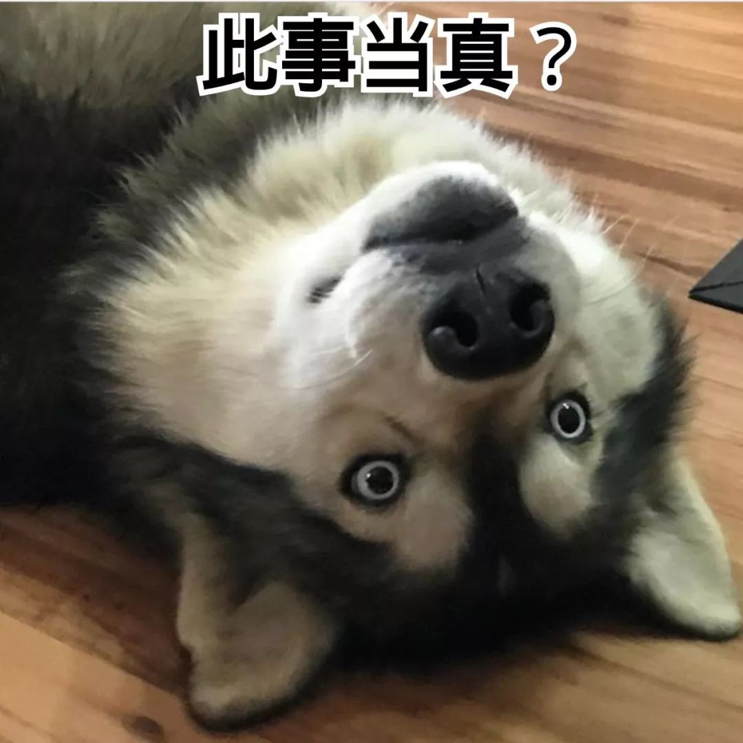 狗天生就有奴性？