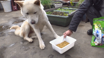 612025fef80642d28ca30d5824571f45.gif