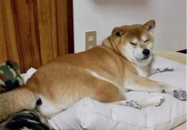 相见欢，情深义重