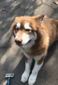20251202525257.gif