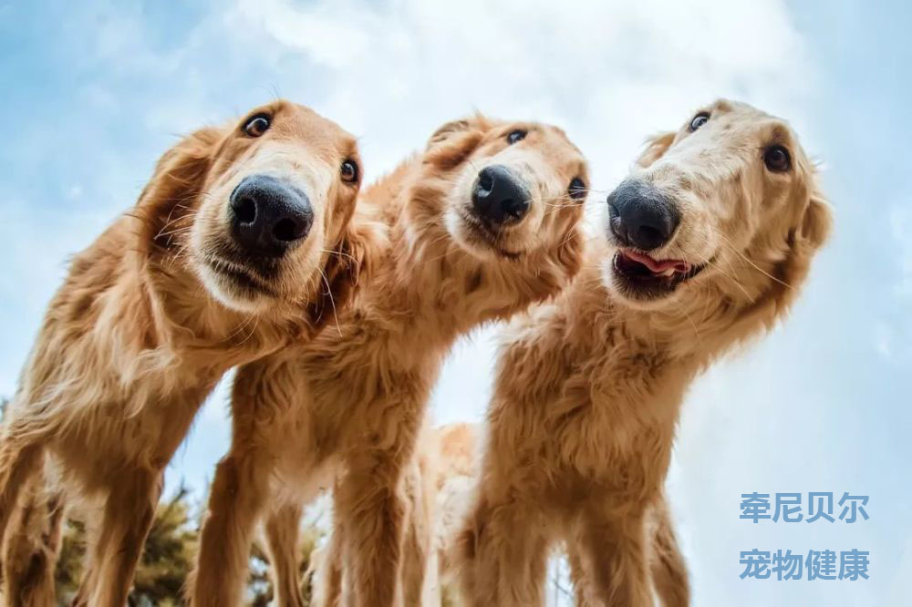 腹泻了？不要怕