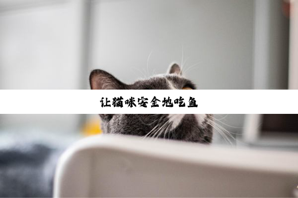 让猫咪安全地吃鱼
