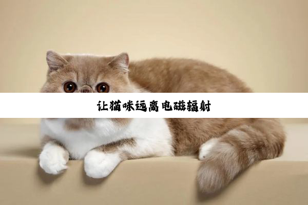 让猫咪远离电磁辐射