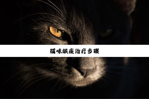 猫咪眼疾治疗步骤