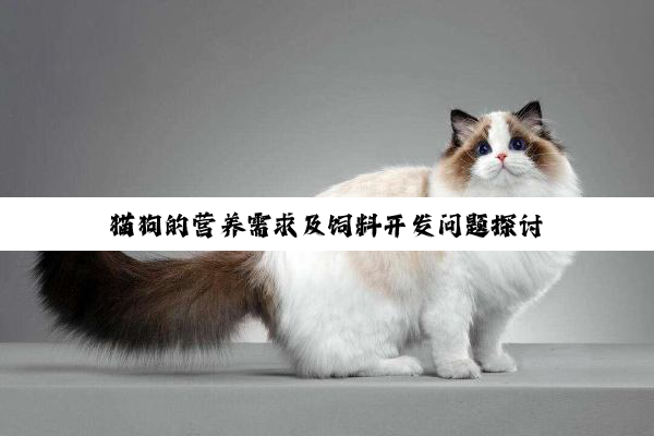 猫狗的营养需求及饲料开发问题探讨