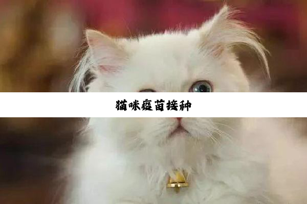 猫咪疫苗接种