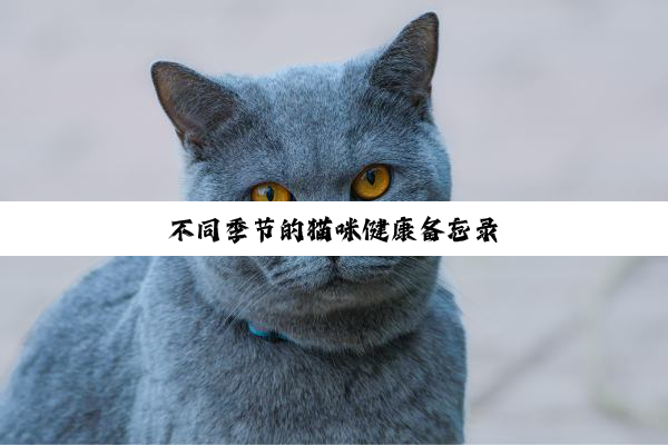 不同季节的猫咪健康备忘录