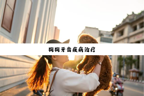 今日科普|狗狗牙齿疾病治疗