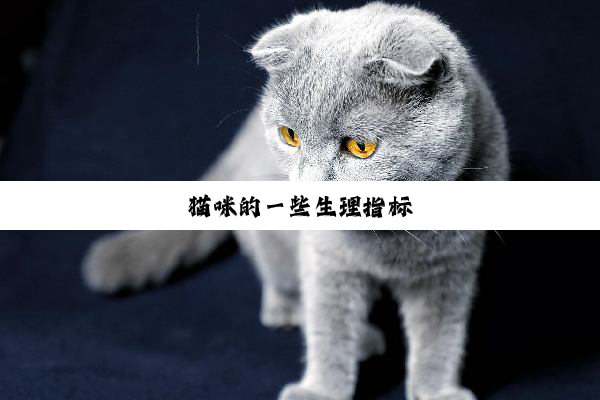 猫(māo)咪(mī)的(de)一(yī)些(xiē)生(shēng)理(lǐ)指(zhǐ)标(biāo)