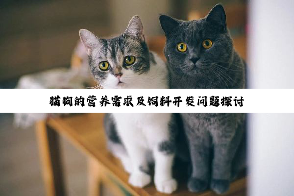 猫狗的营养需求及饲料开发问题探讨