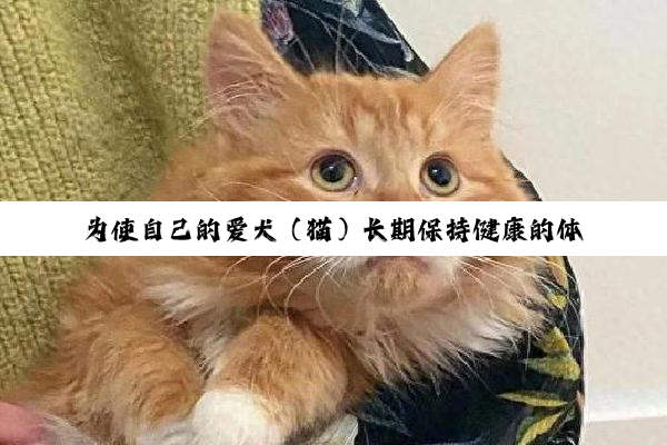 为使自己的爱犬（猫）长期保持健康的体质，必须遵循以下