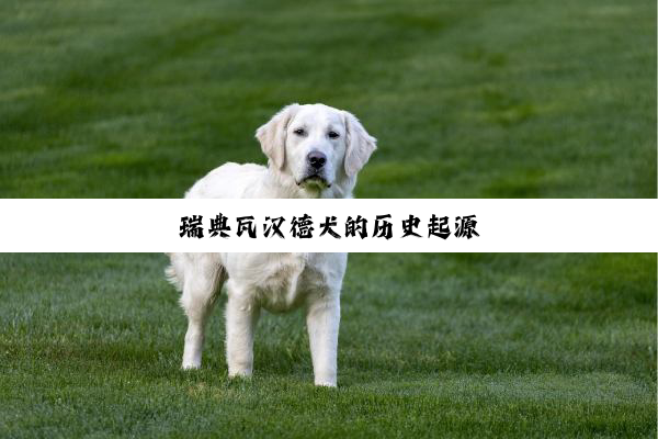 瑞典瓦汉德犬的历史起源