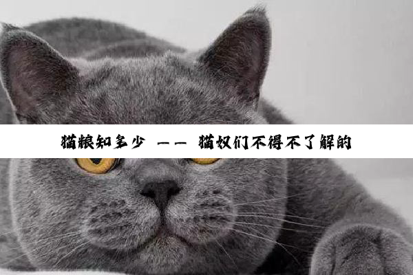 猫粮知多少 —— 猫奴们不得不了解的知识