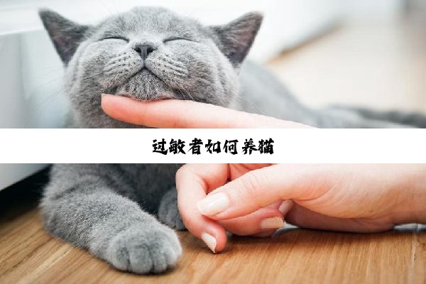 过敏者如何养猫