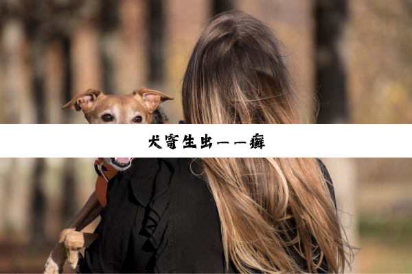 犬寄生虫——癣