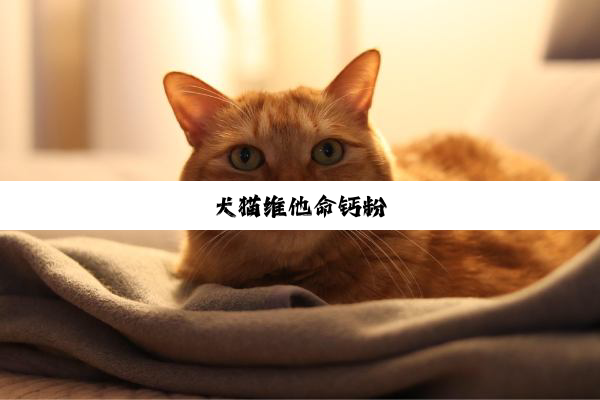 犬猫维他命钙粉