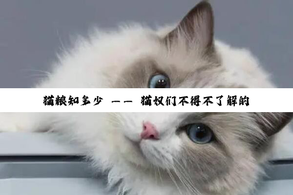 猫粮知多少 —— 猫奴们不得不了解的知识
