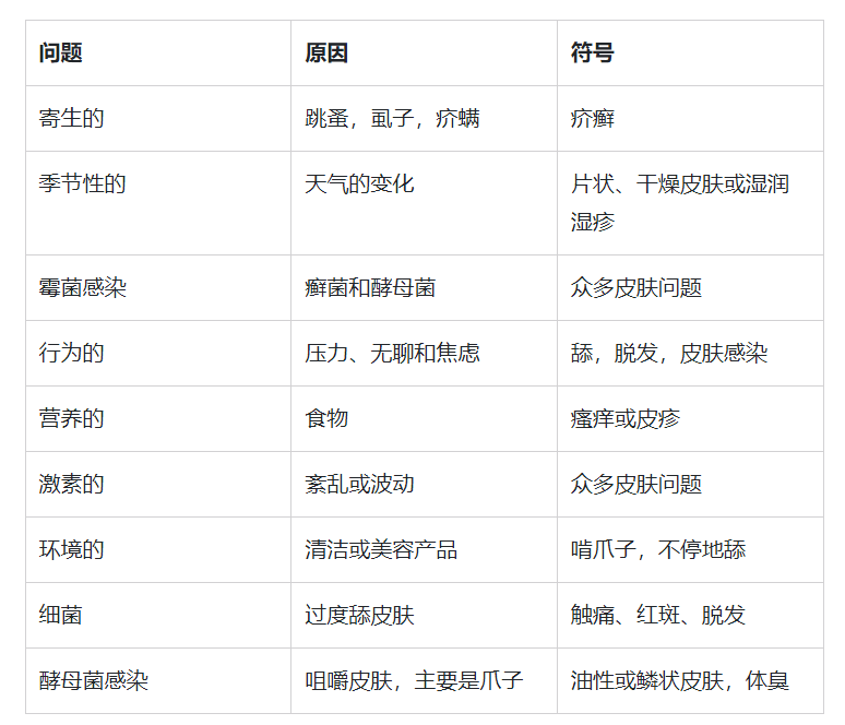 狗狗常见皮肤干燥问题及解决方案