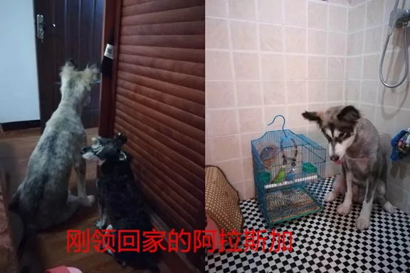 【网友分享】又一例暖心收养