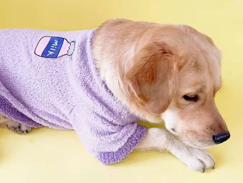 关于拉布拉多犬你知道多少呢？