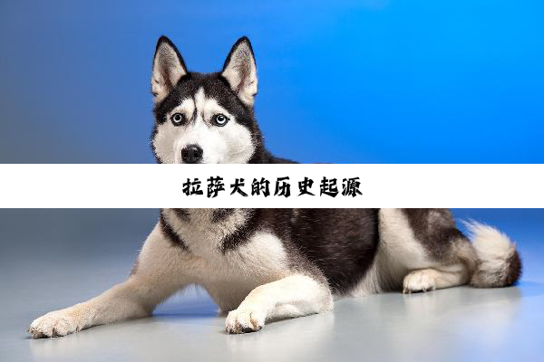 拉萨犬的历史起源