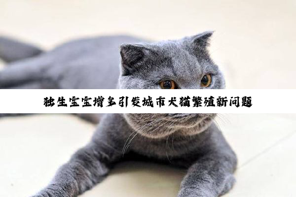独生宝宝增多引发城市犬猫繁殖新问题