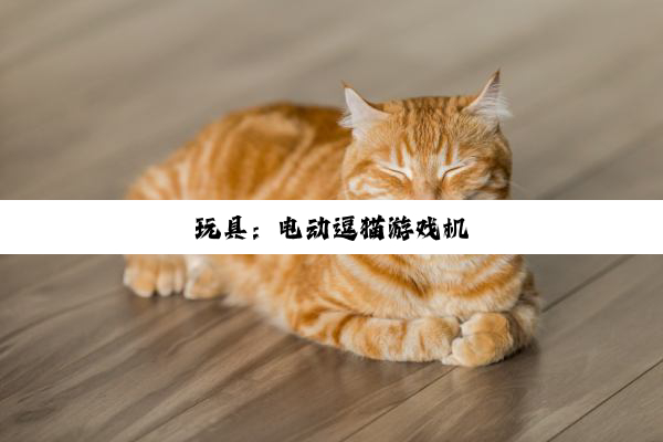 玩具：电动逗猫游戏机