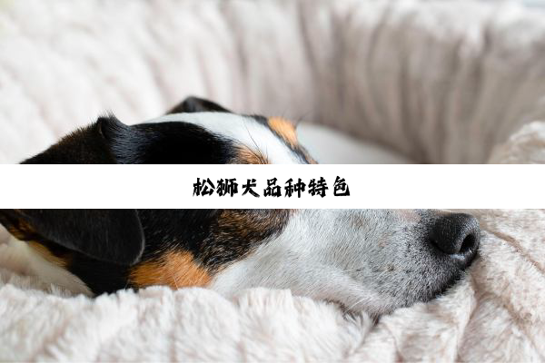 松狮犬品种特色