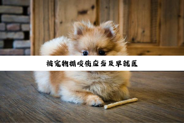 被宠物抓咬伤应当及早就医