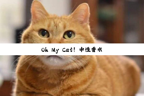 Oh My Cat！中性香水