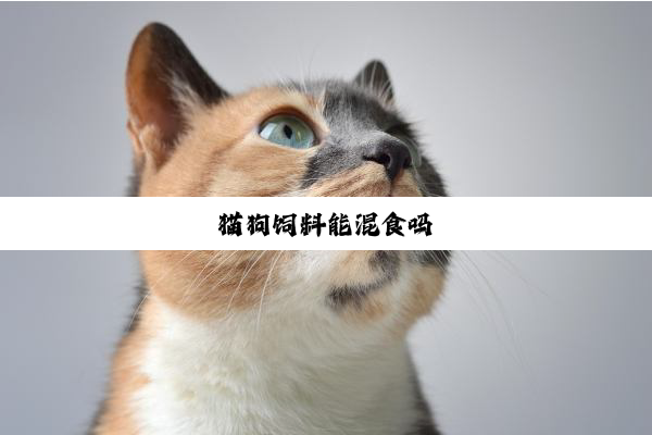 猫狗饲料能混食吗