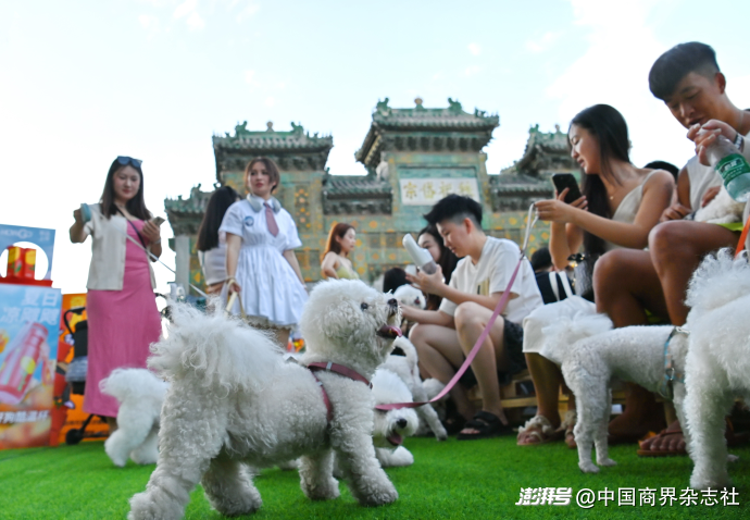 创新消费场景，宠物经济热潮涌动